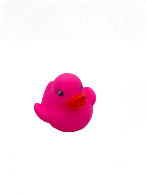 Ducks/1200 - Image 4